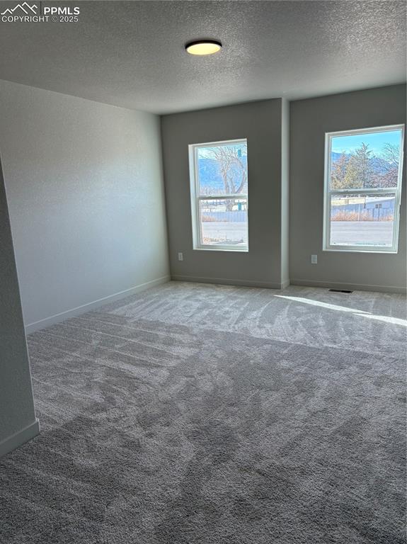 Image 7 of 16: Empty room featuring carpet floors, healthy amount of natural light, and a 