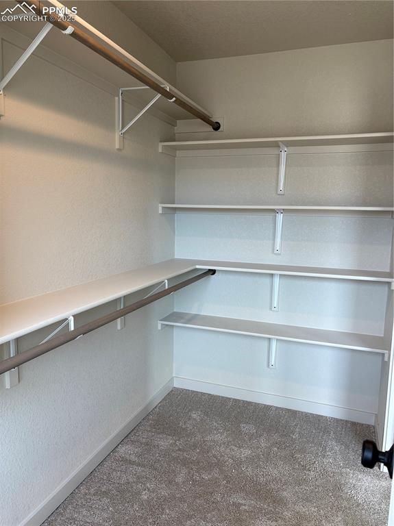 Image 8 of 16: Walk in closet featuring dark carpet