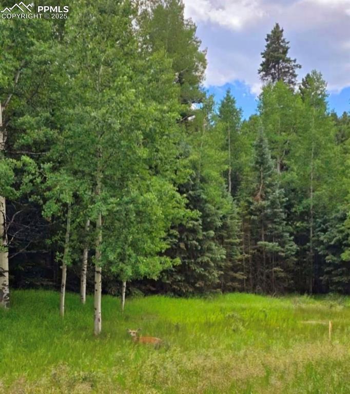 Image 4 of 7: View of landscape