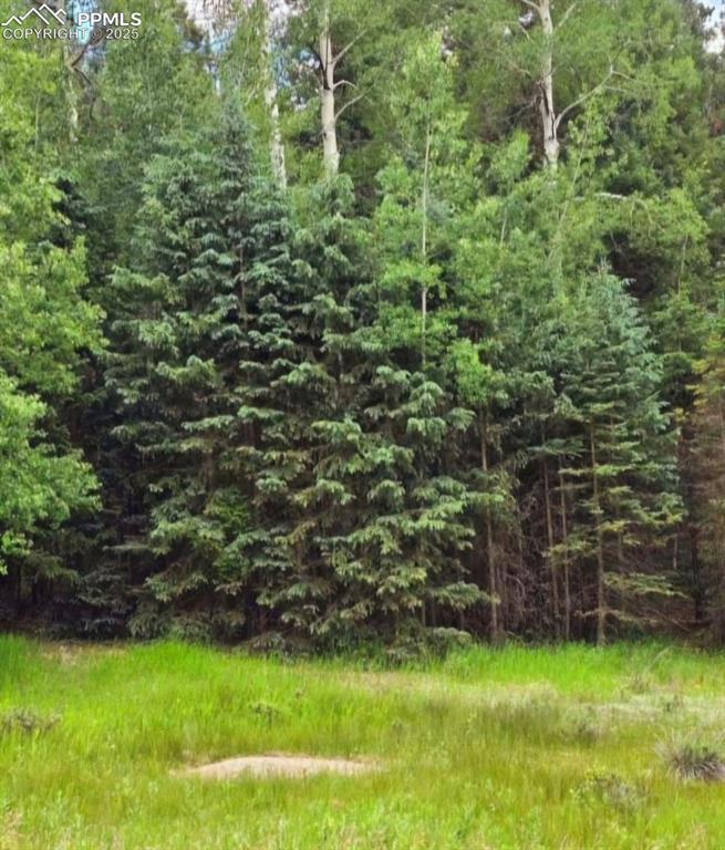 Image 5 of 7: View of landscape