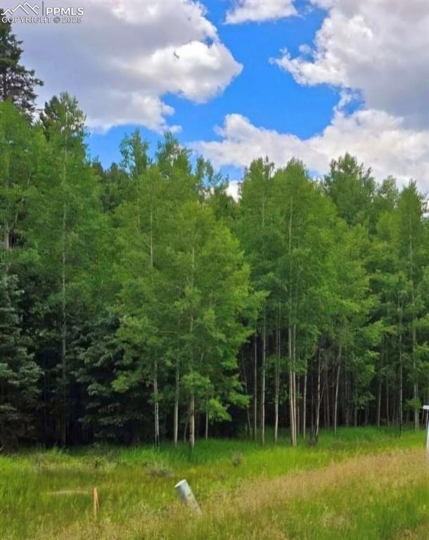 Image 6 of 7: View of local wilderness