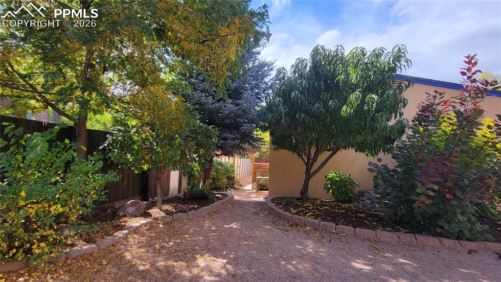 Image 43 of 50: fall 2025