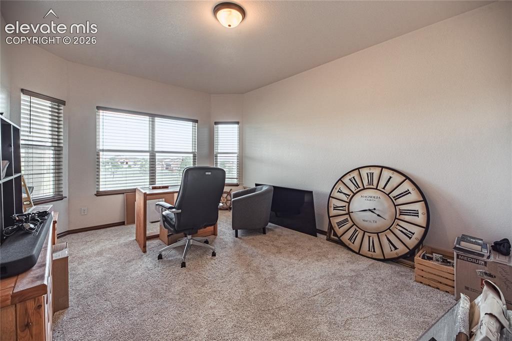 Image 19 of 50: Carpeted room with a bay window configuration featuring multiple windows wi