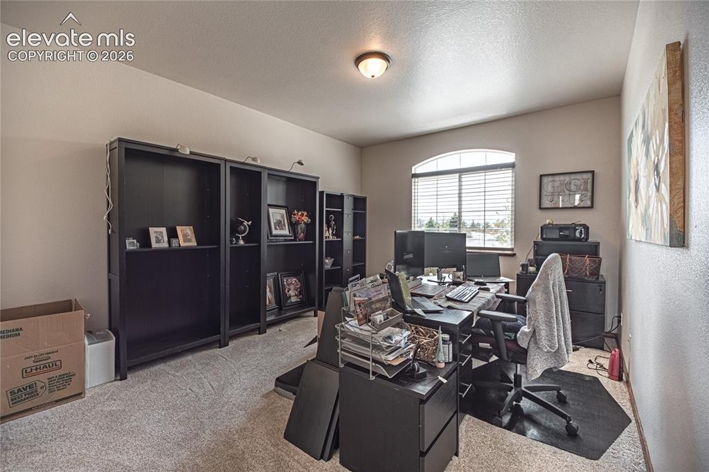 Image 22 of 50: Room featuring light neutral wall paint, carpet flooring, and a semi-flush