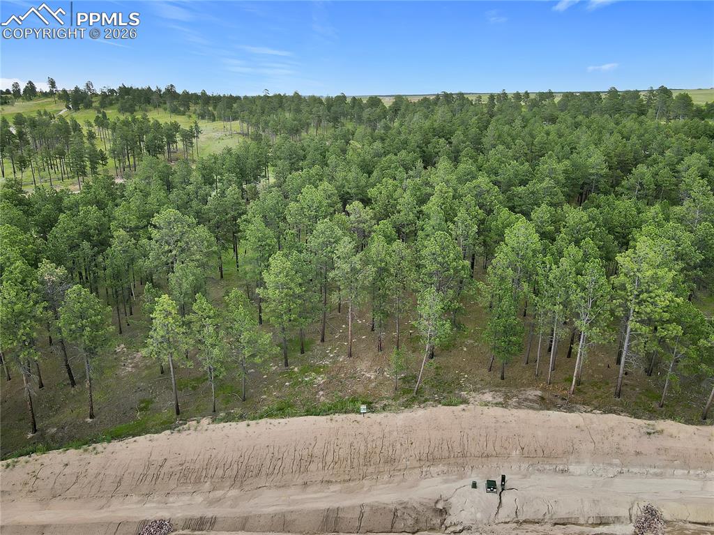 Image 2 of 10: Other