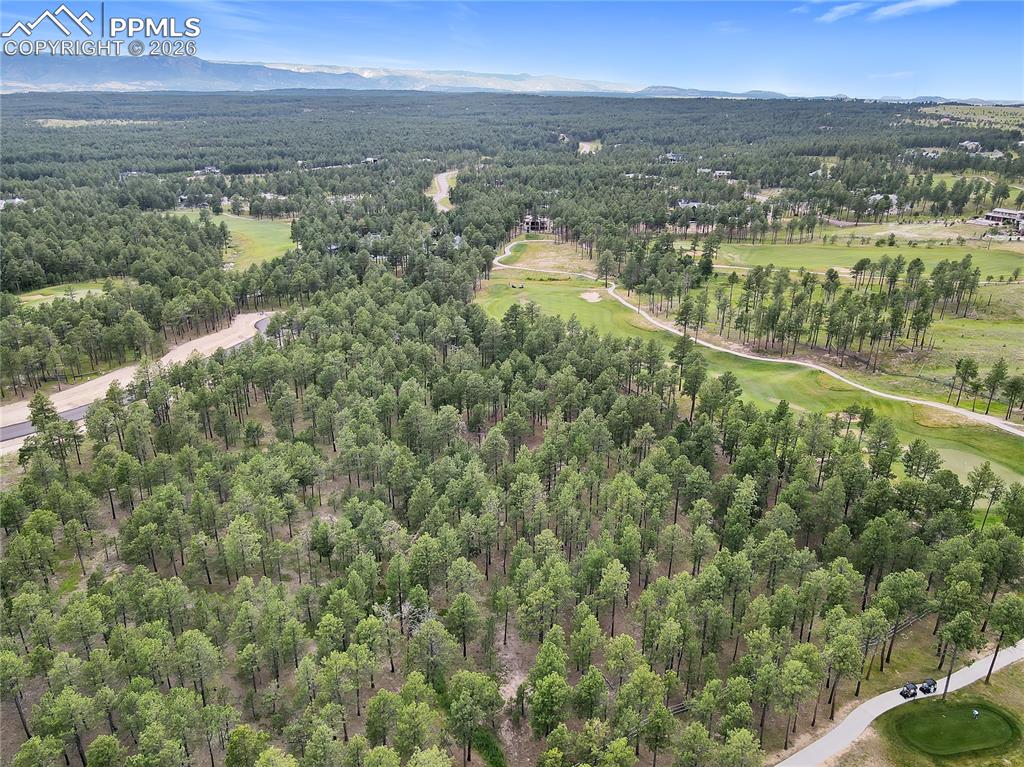 Image 6 of 10: Aerial View