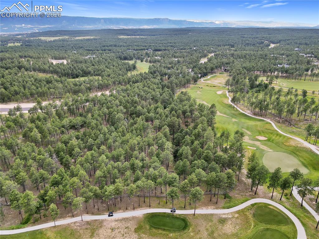 Image 7 of 10: Aerial View