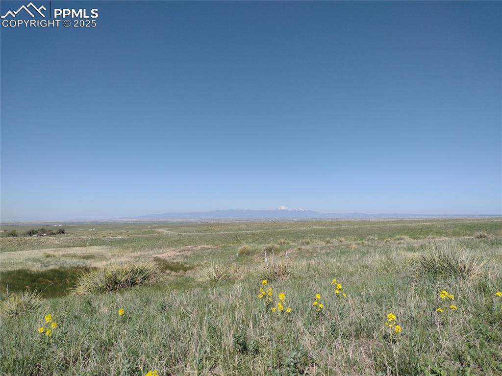Image 2 of 11: View of local wilderness with rural landscape and a mountainous background