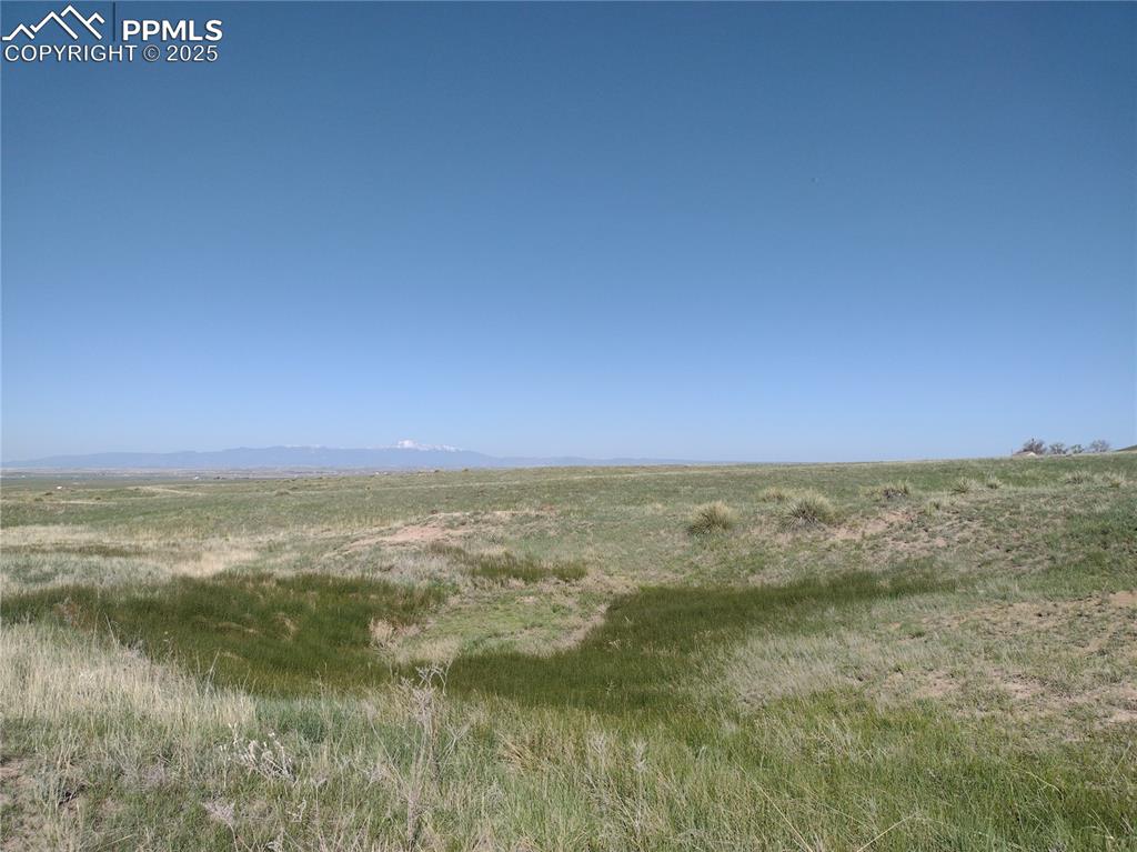 Image 3 of 11: Other