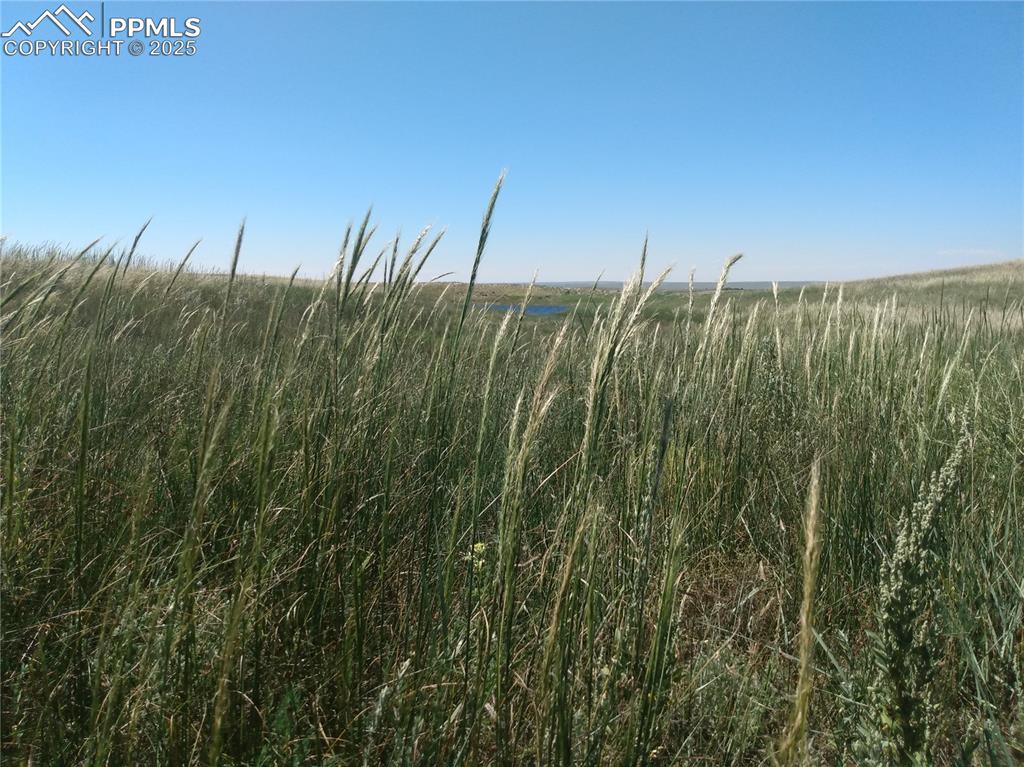 Image 5 of 11: Other