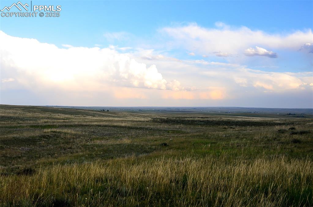 Image 9 of 11: Other