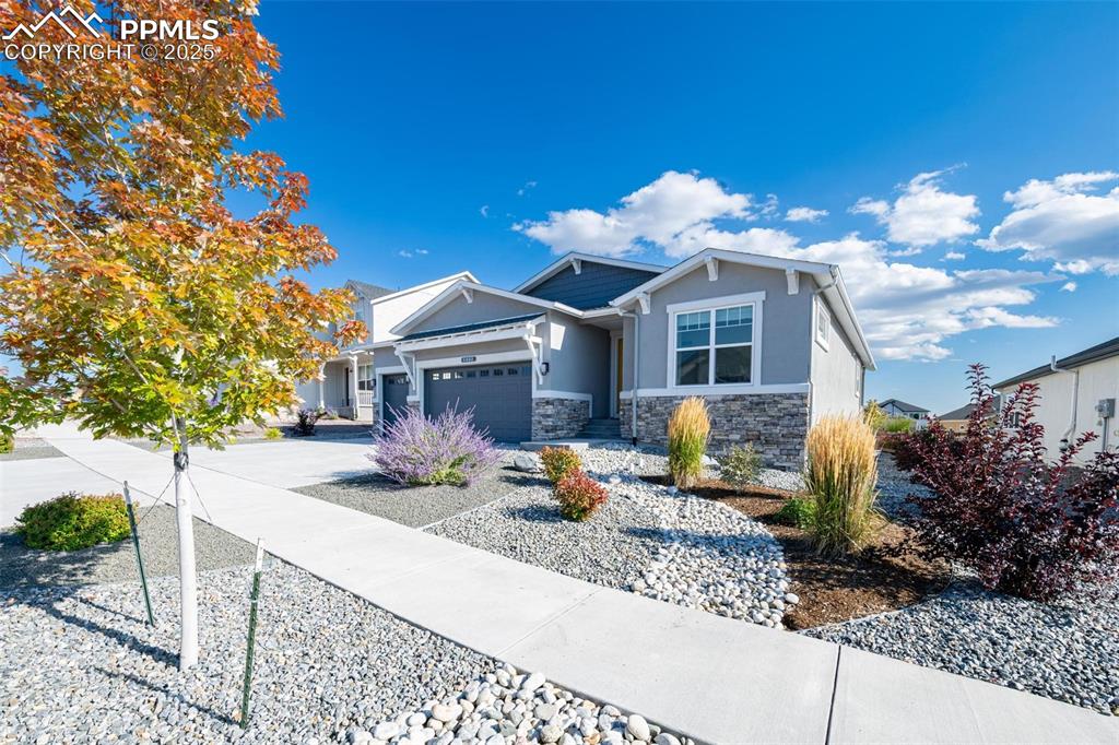 Image 39 of 40: Front of Structure