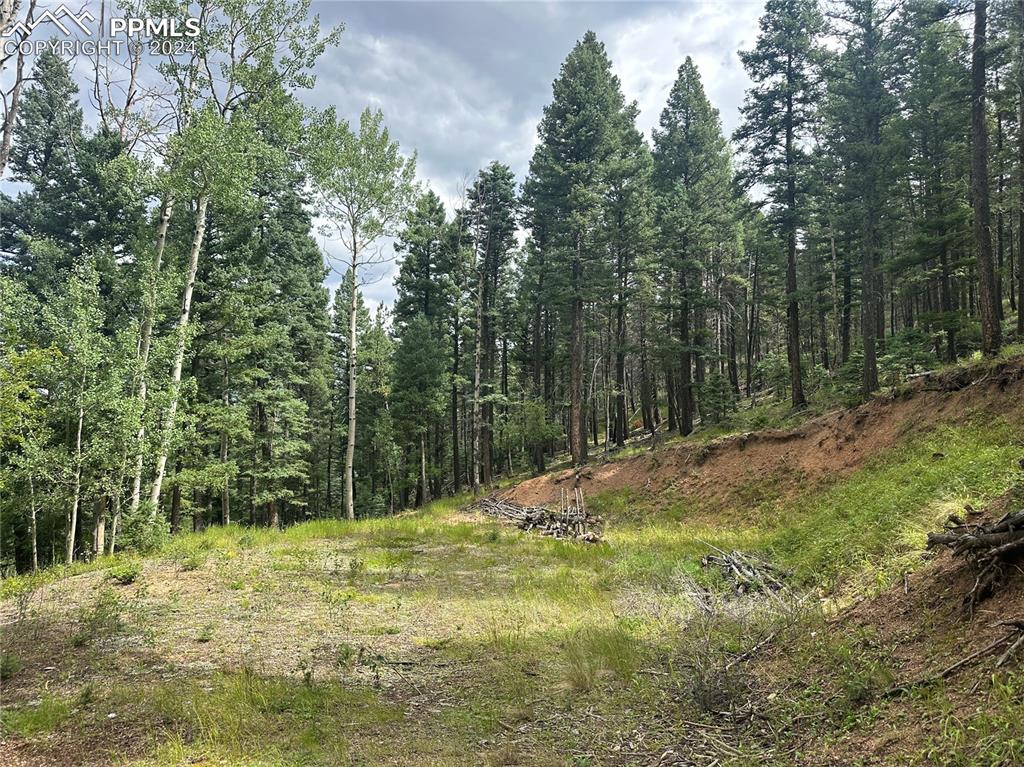 Image 1 of 21: Build site