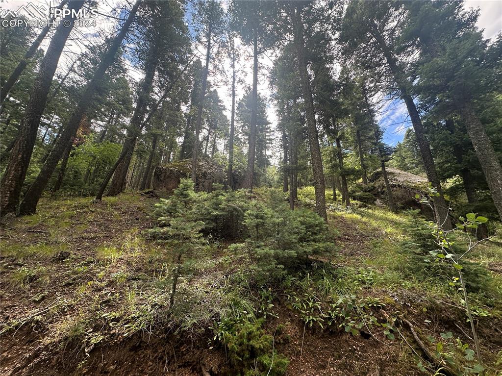 Image 10 of 21: Views of the rock outcroppings