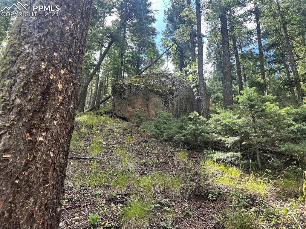 Image 11 of 21: Rock outcroppings