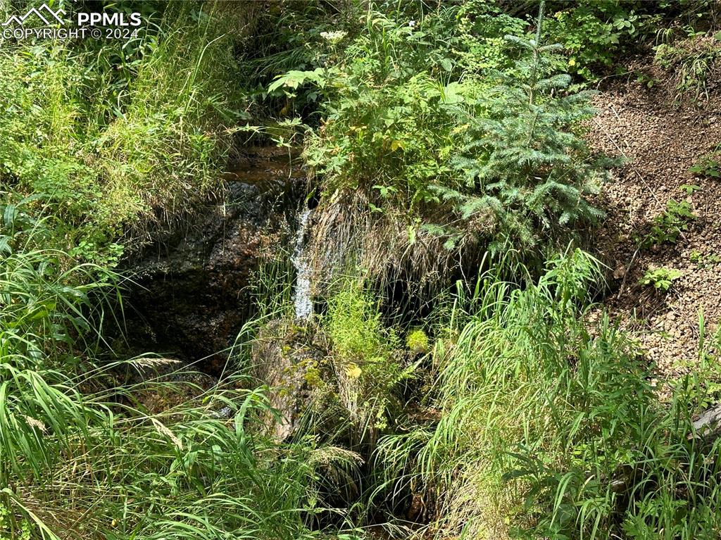 Image 12 of 21: Spring fed creek across the street from the lot