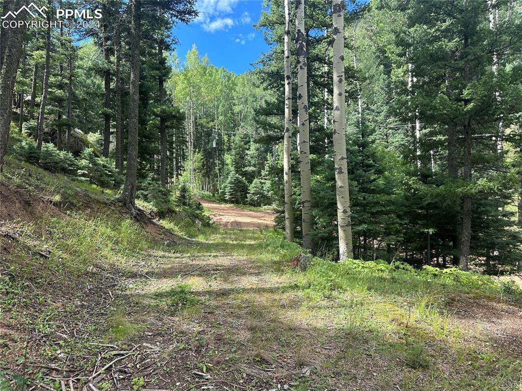 Image 14 of 21: View of the driveway from road