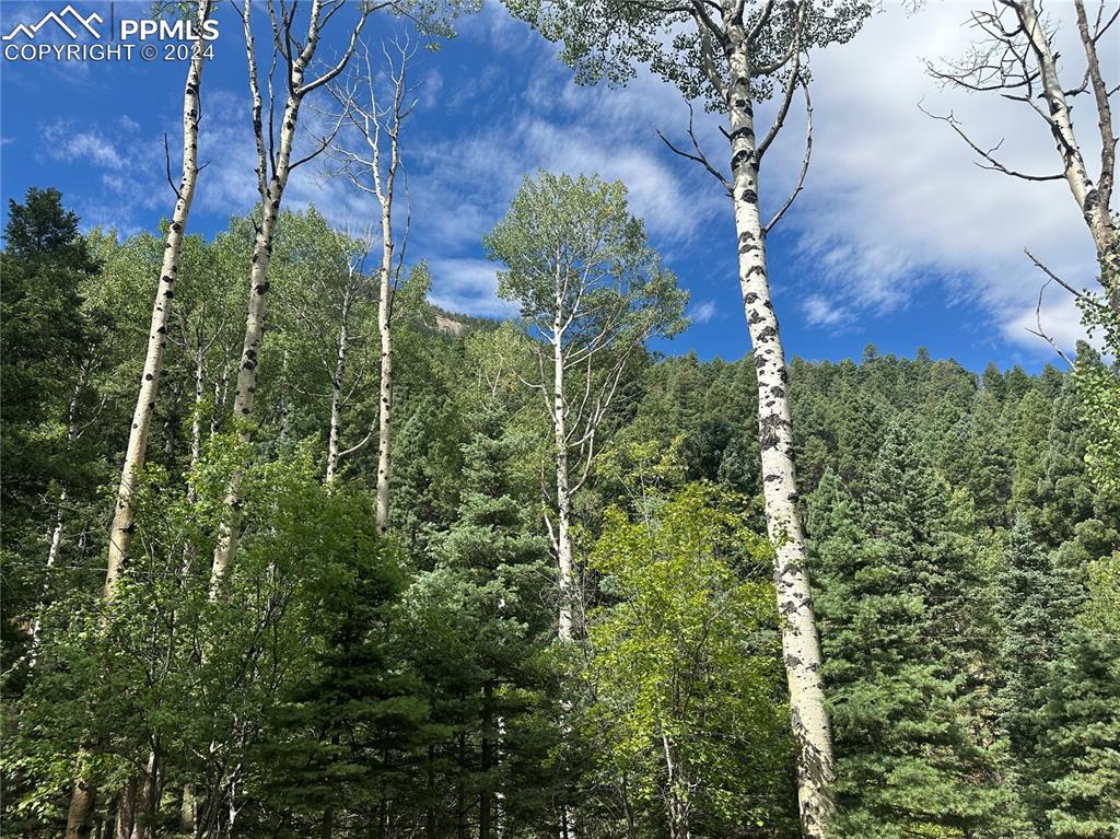 Image 2 of 21: View from the build site