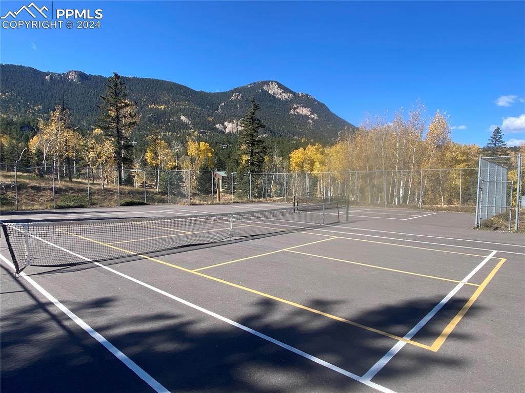 Image 20 of 21: Tennis/Pickle Ball Courts