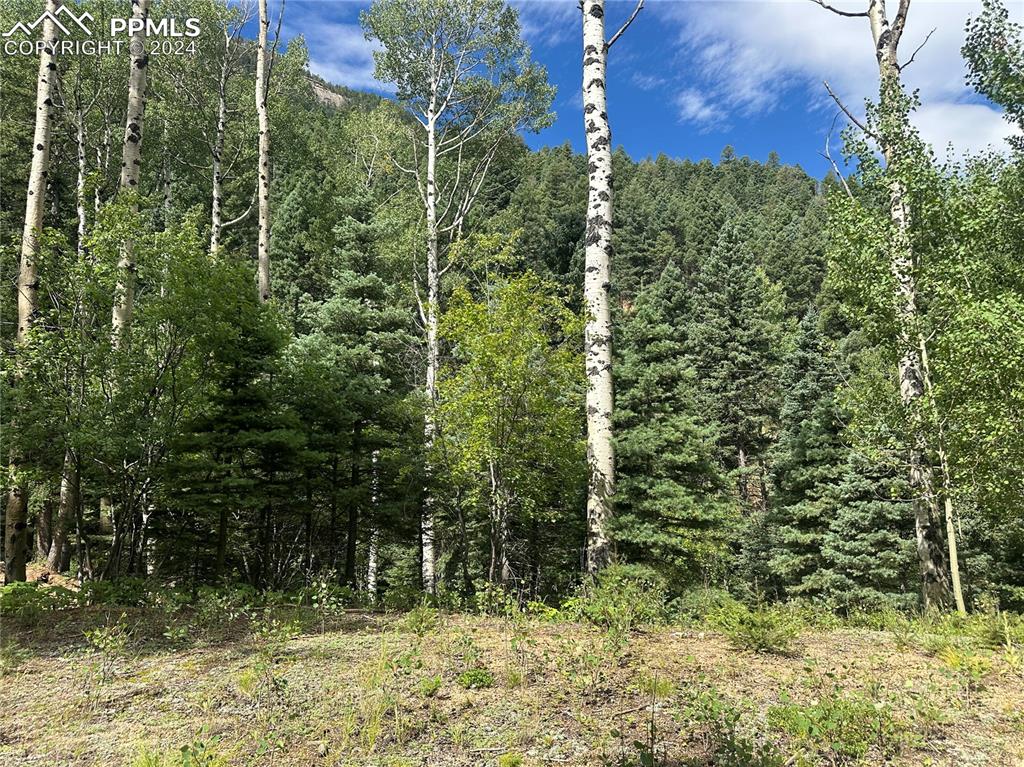 Image 4 of 21: Mountain View with beautiful aspens surrounding the build site