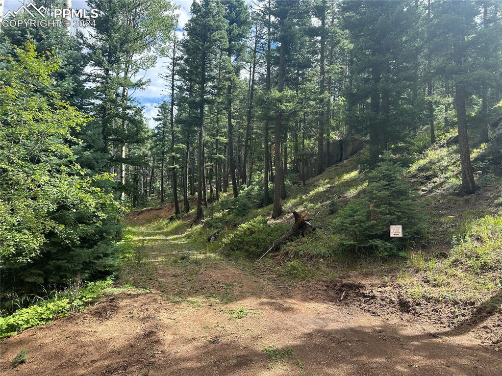 Image 5 of 21: Future Driveway/Front of lot view