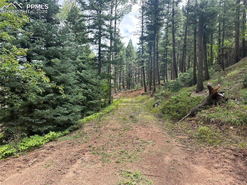 Image 6 of 21: Future Driveway looking to build site