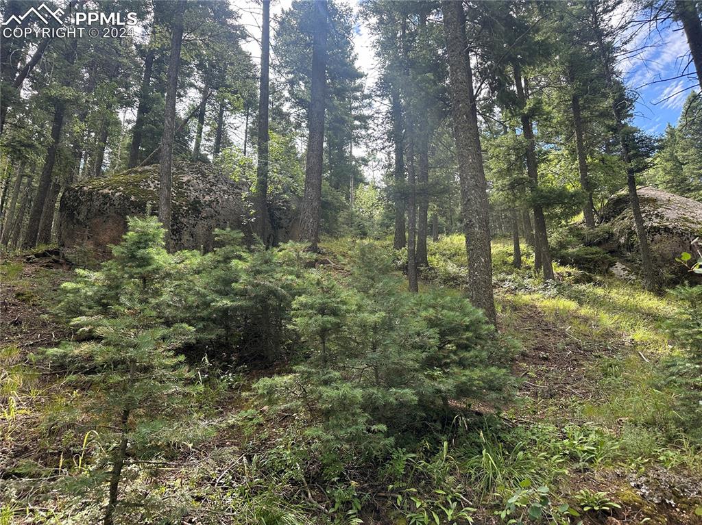 Image 9 of 21: Rock outcroppings