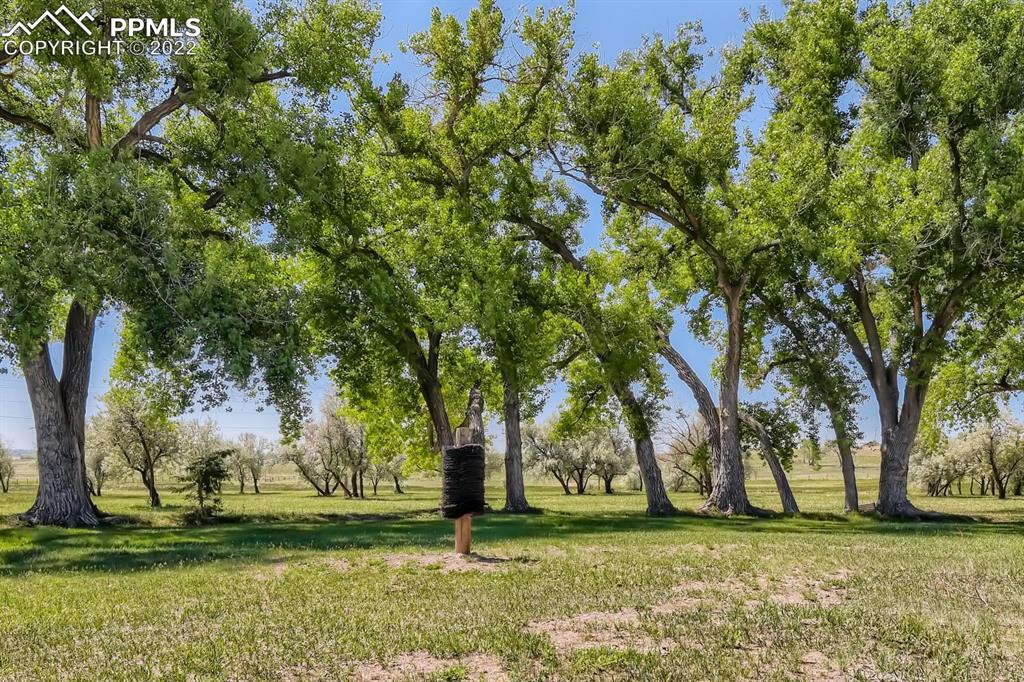Listing 6401174, Image 36 of 37