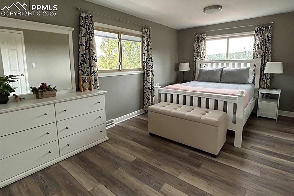 Image 11 of 50: Primary bedroom with multiple windows and dark wood finished floors