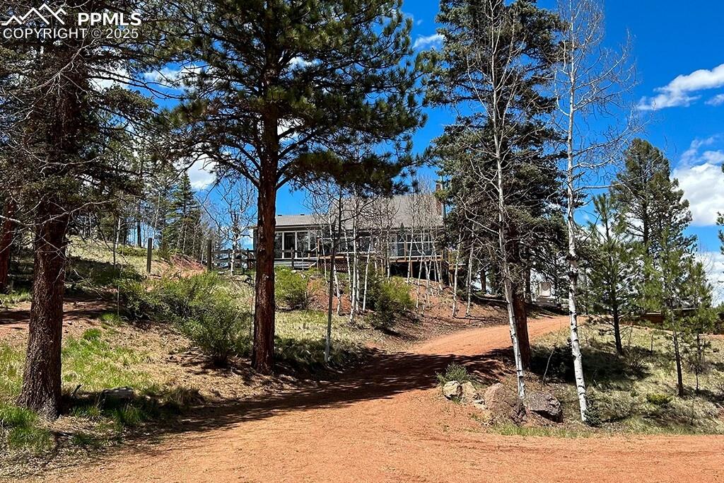 Image 2 of 50: Driveway leading up to the house.