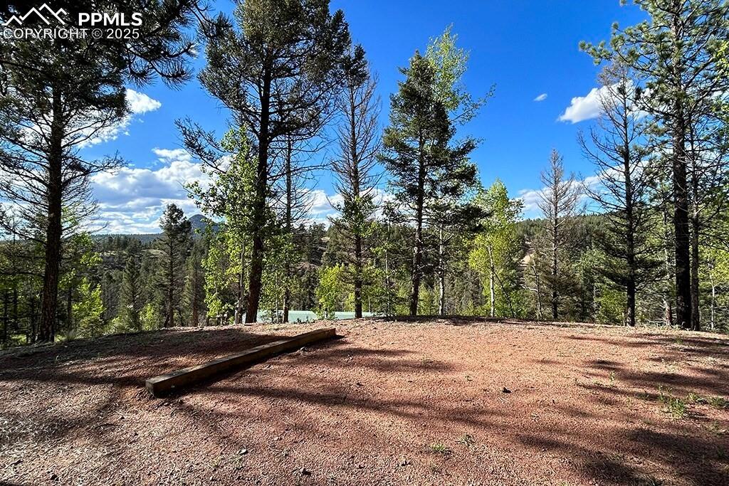 Image 32 of 50: View of woods