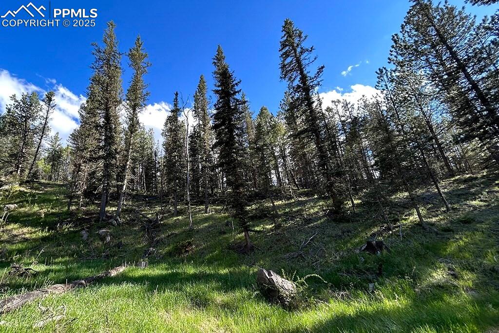 Image 33 of 50: View of undeveloped land