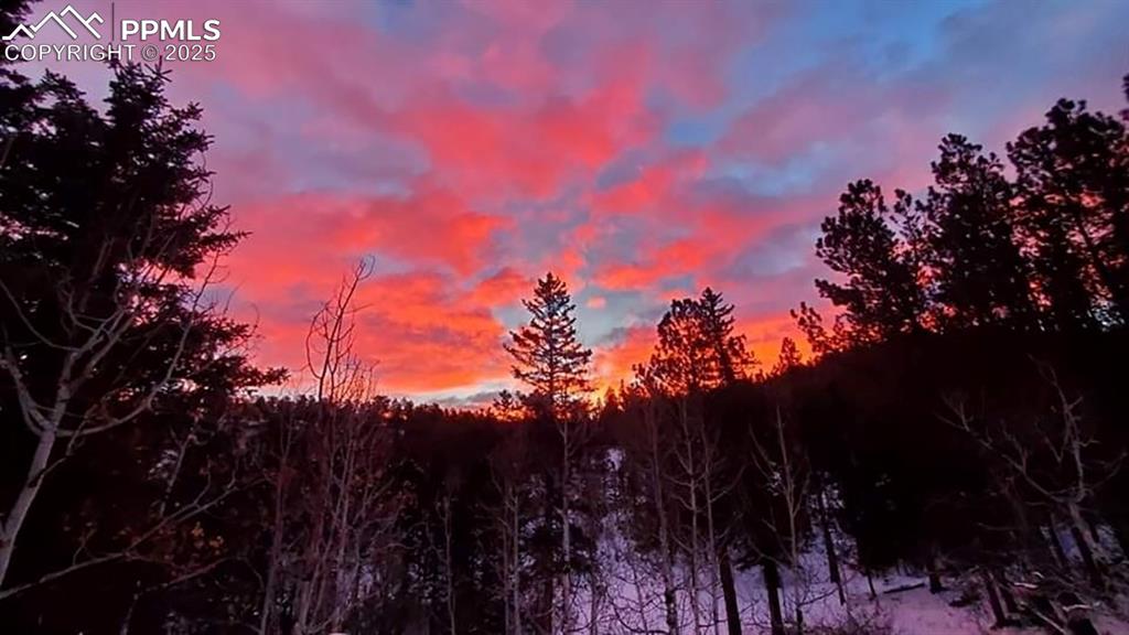 Image 34 of 50: View of undeveloped land