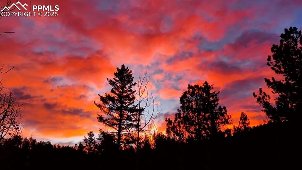 Image 35 of 50: View of nature at dusk