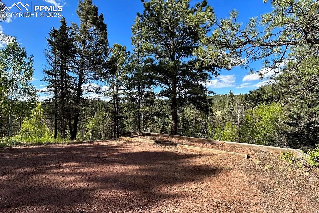 Image 38 of 50: View of yard featuring a view of trees