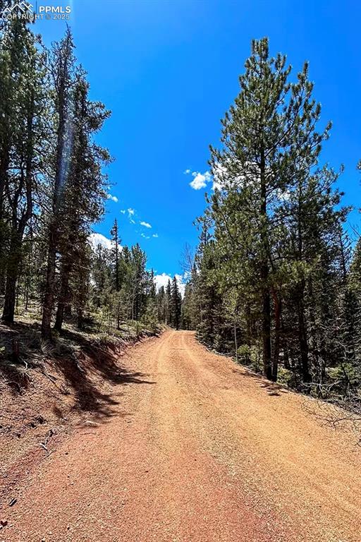 Image 39 of 50: View of dirt / gravel road with a forest view