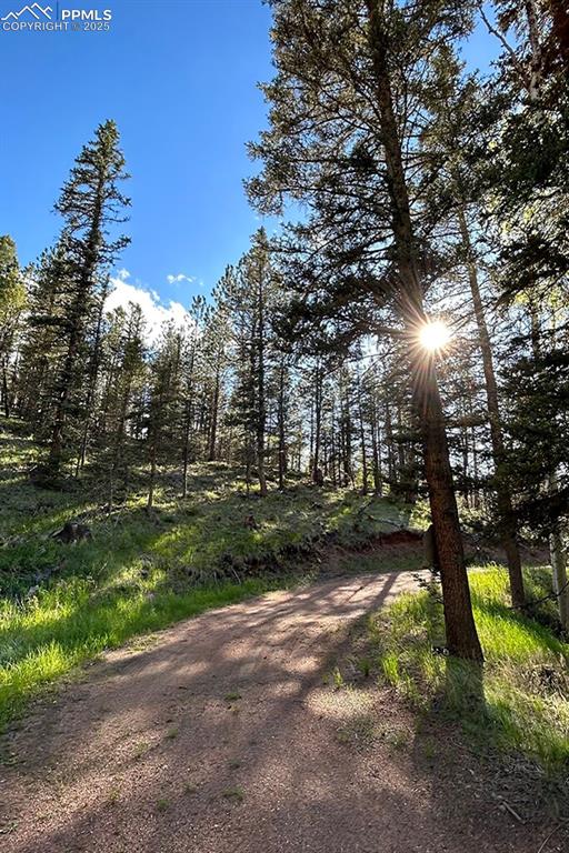 Image 41 of 50: View of dirt / gravel road