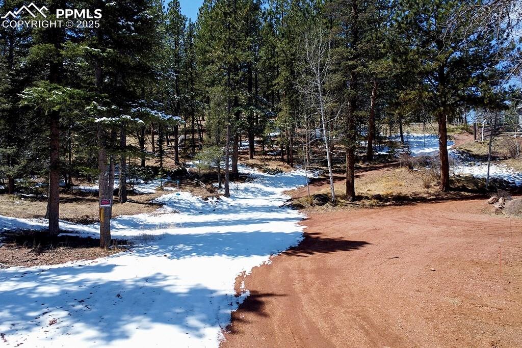 Image 43 of 50: View of dirt / gravel road featuring view of wooded area