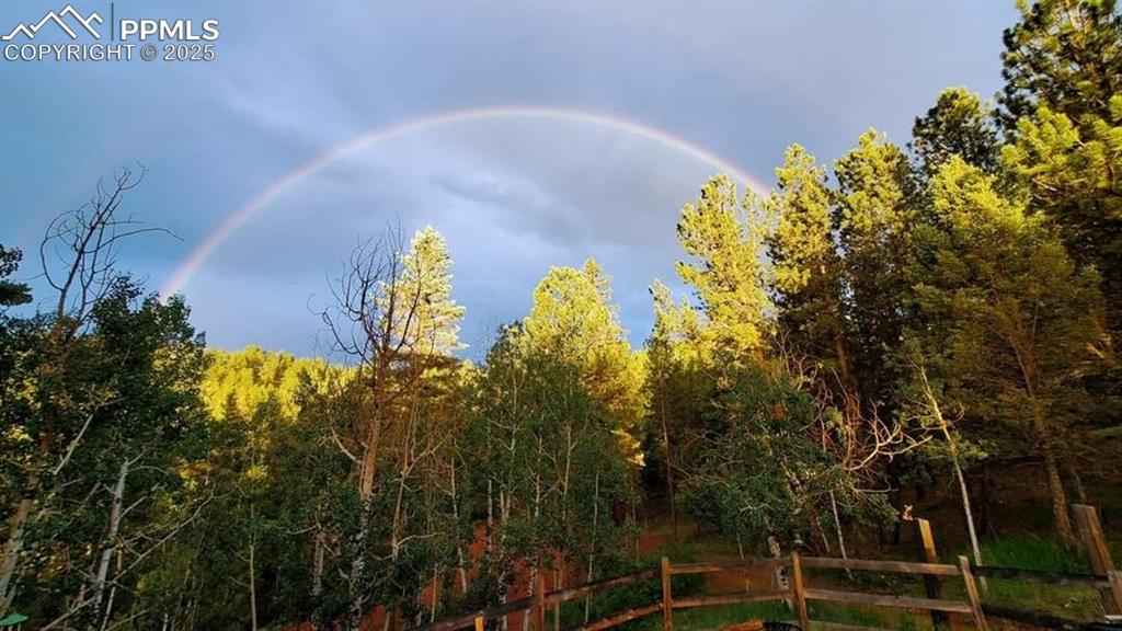 Image 46 of 50: View of woods