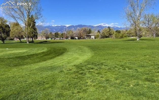 Image 41 of 46: Virtually Staged Back Patio
