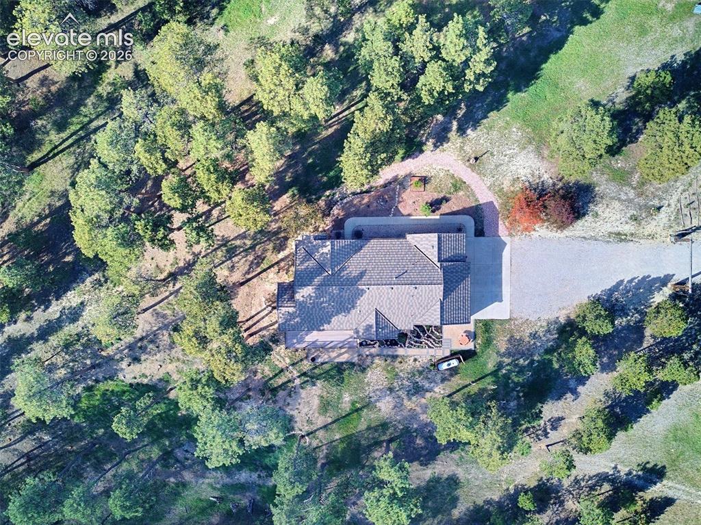 Image 6 of 48: Nestled in the trees