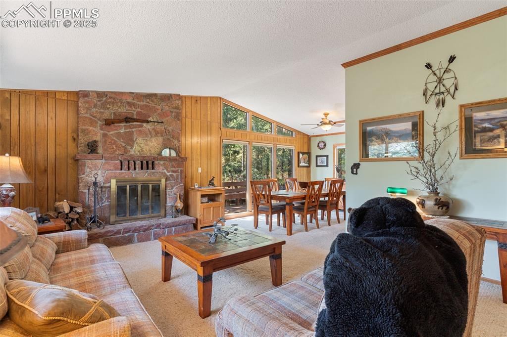 Image 6 of 35: Living room featuring wooden walls, lofted ceiling, a stone fireplace, carp
