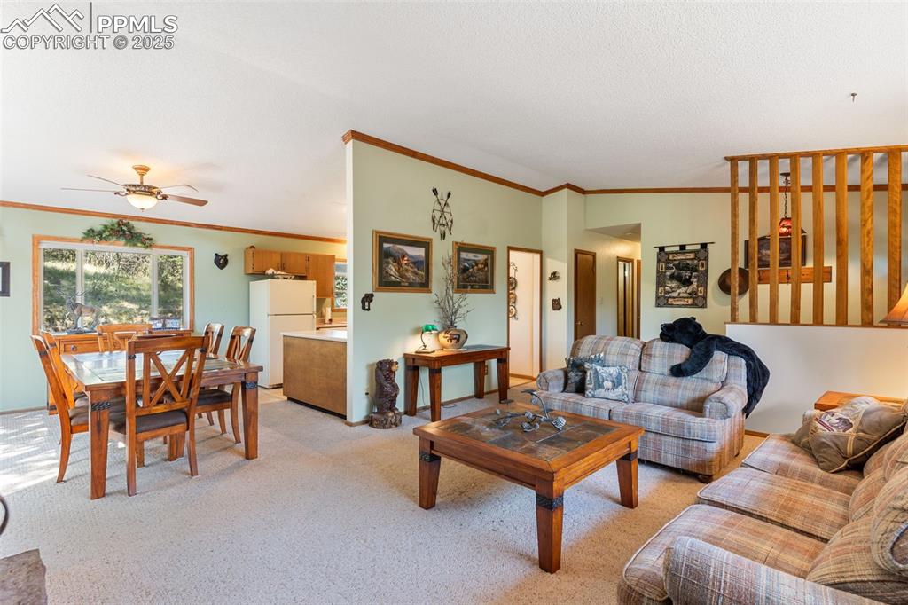 Image 7 of 35: Living area with light carpet, crown molding, and a ceiling fan