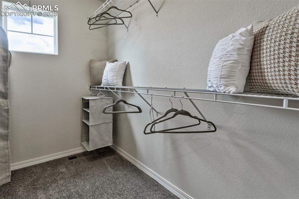 Image 17 of 35: Walk in closet featuring dark carpet