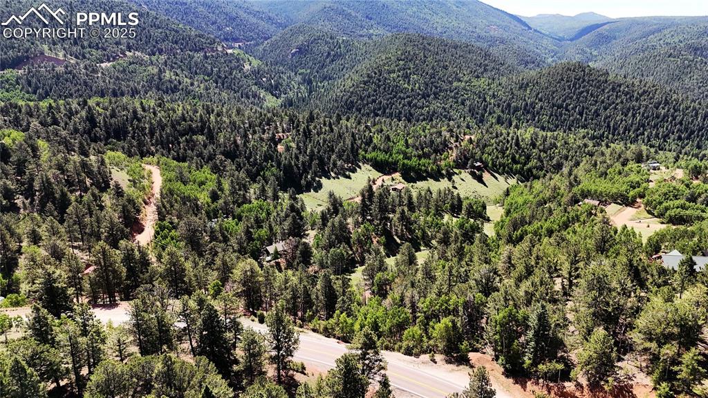 Image 11 of 11: View of mountain background featuring a heavily wooded area