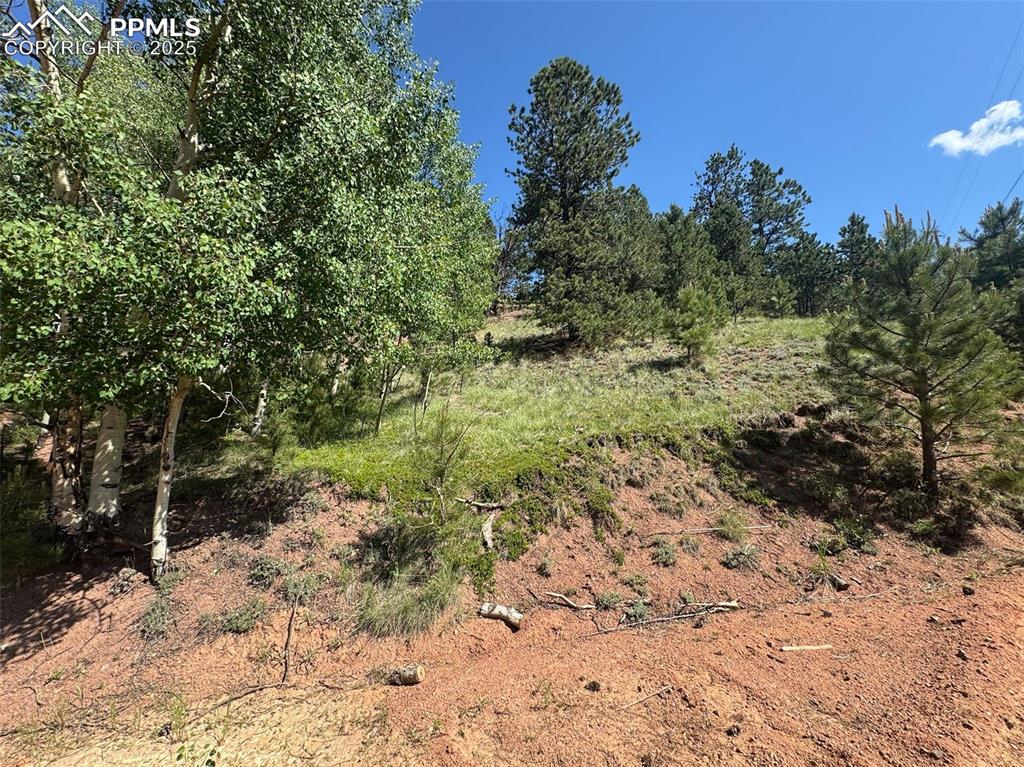 Image 5 of 11: View of undeveloped land