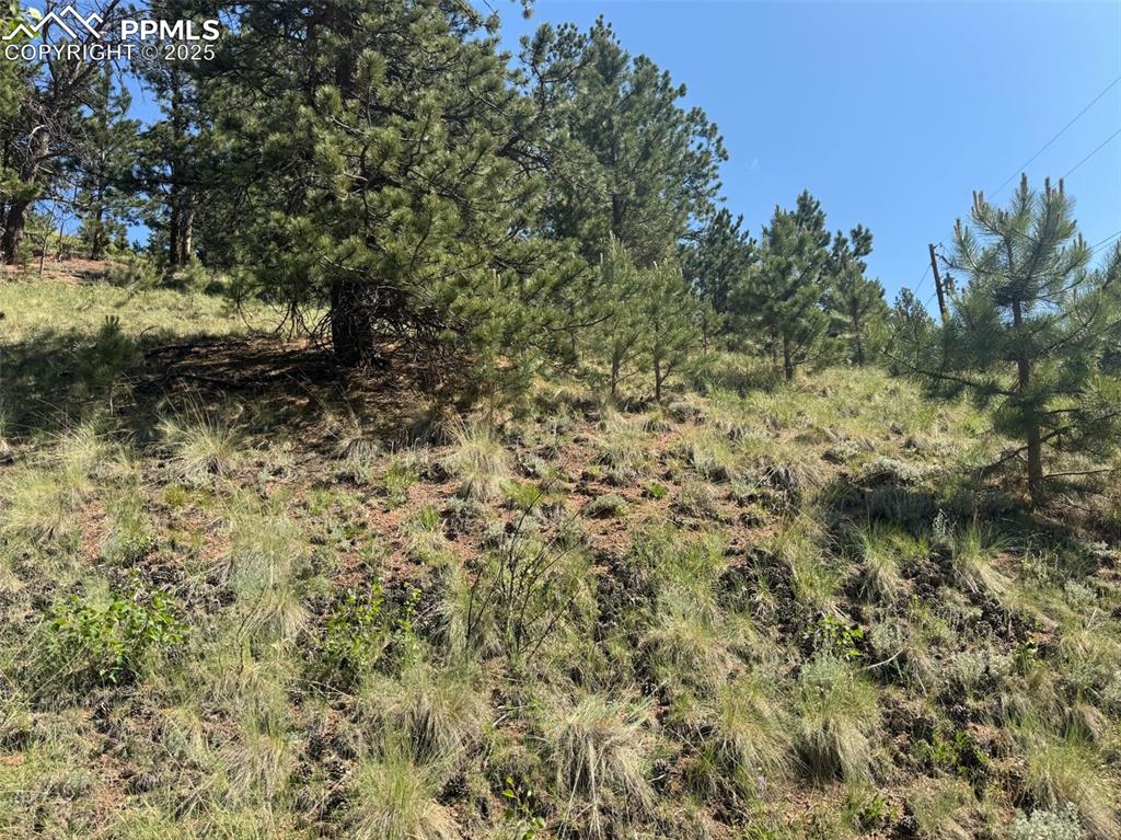 Image 6 of 11: View of nature