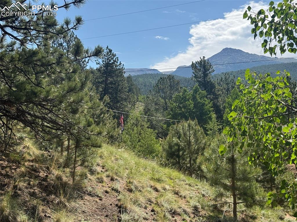 Image 7 of 11: View of mountain background featuring a heavily wooded area