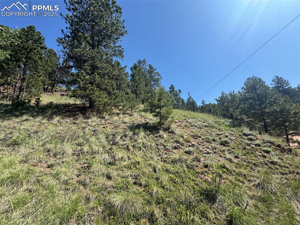 Image 9 of 11: View of nature