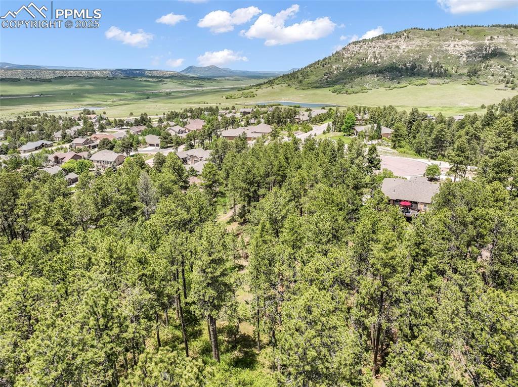 Image 9 of 10: Aerial View